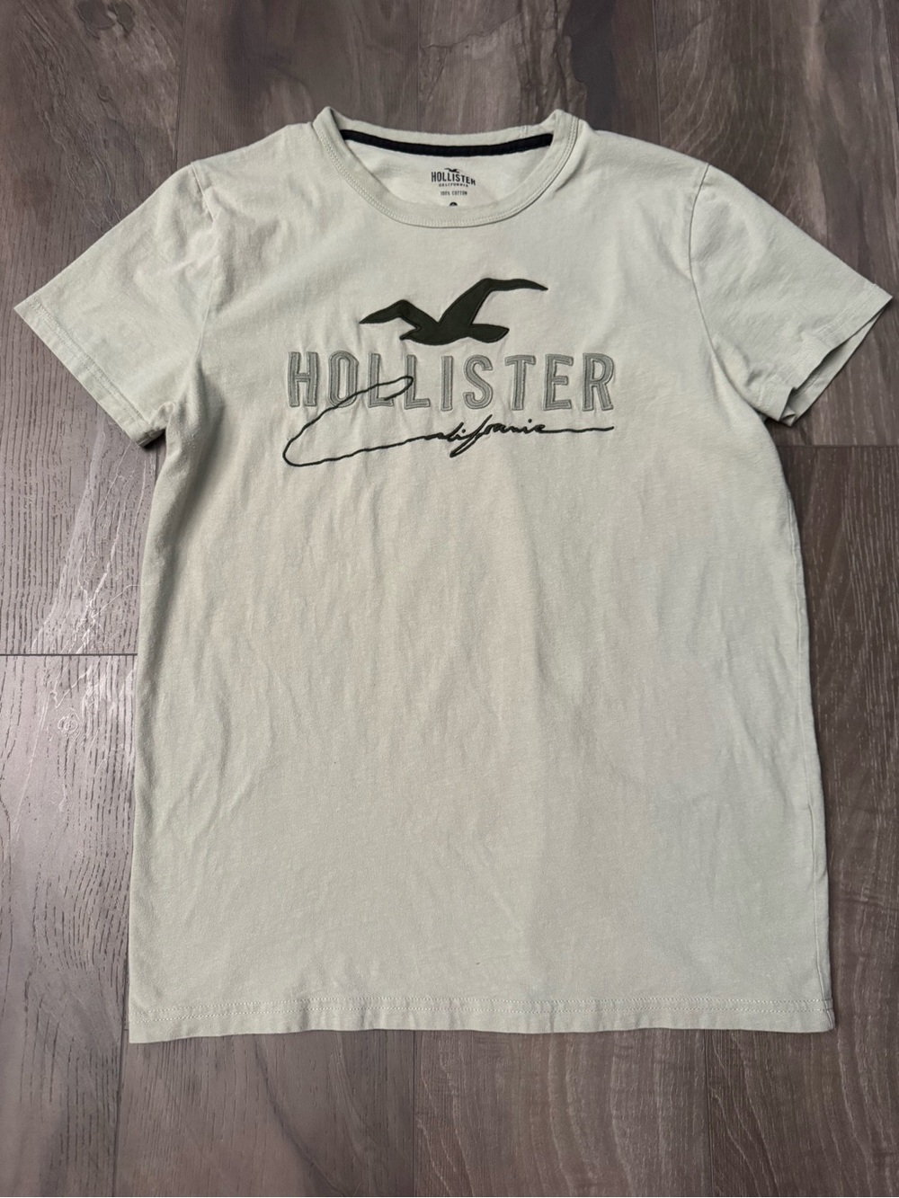 Hollister Light Sage Logo Tee Adult Small